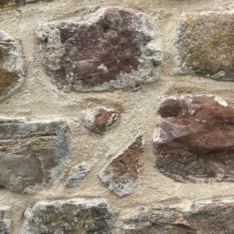 Eden 2 Fine Yellow 2