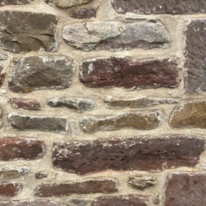 Eden 2 - Fine Yellow